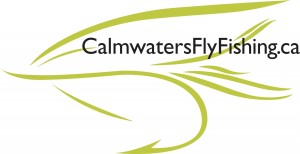 Fly Logo white left